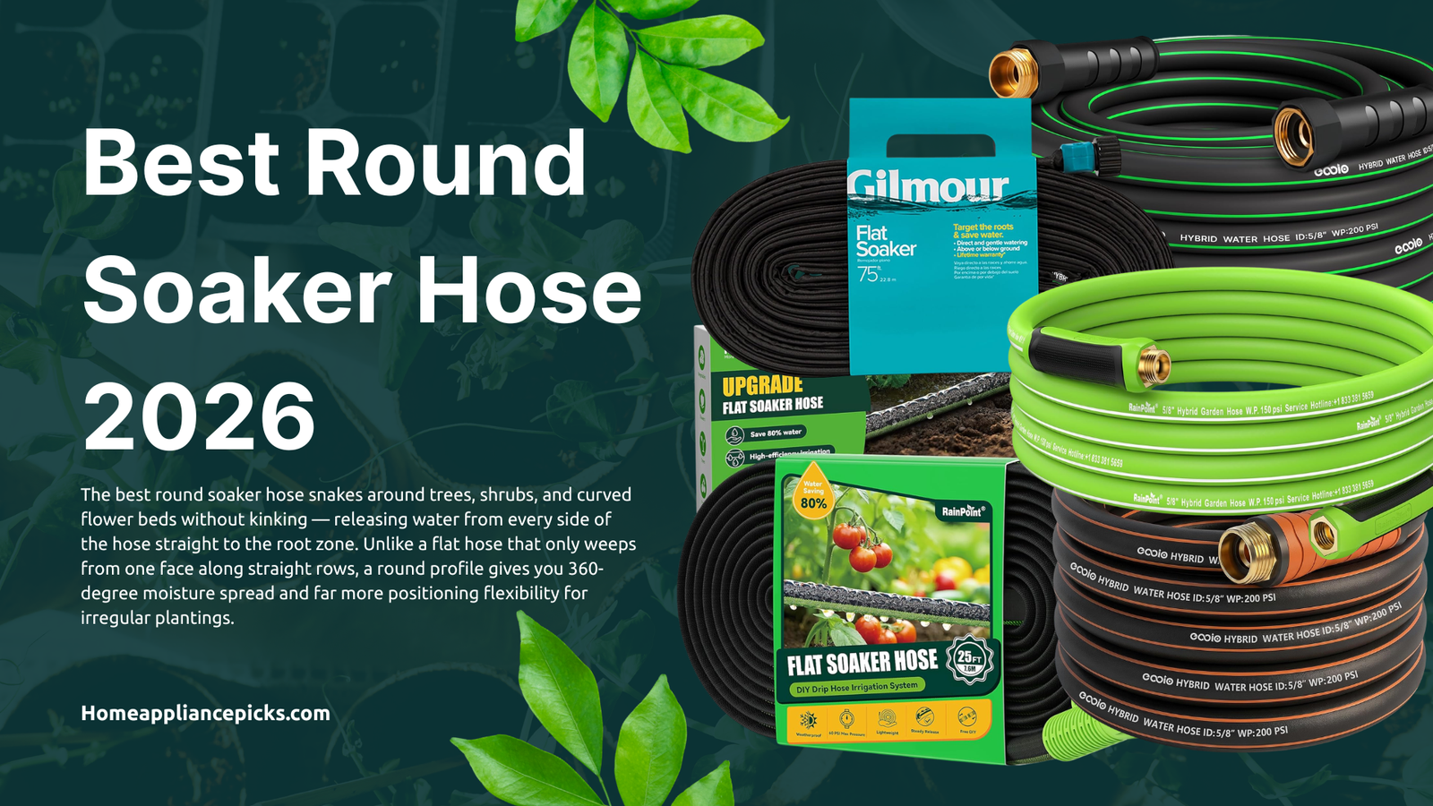best round soaker hose — coiled round rubber soaker hoses with brass fittings beside a curved garden bed